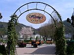 Hermy’s Garden à St.Goar
