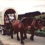 Station d'excursions à cheval Pabst