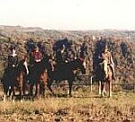 Riding station Pabst