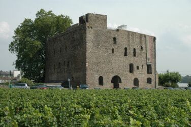 Château fort de Brömserburg