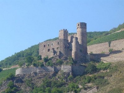 Ruinas del castillo de Ehrenfels