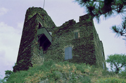 Rovine del castello di Nollig