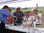 Wine Hiking in Eibingen