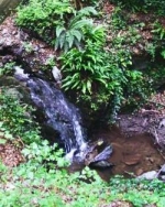 Pulsbachklamm (Pulsbach gorge)