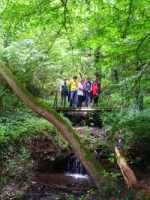 Pulsbachklamm (Pulsbach gorge)